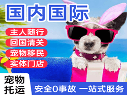 三亚机场物流国际宠物托运 【国